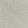 Wolf Grey 06