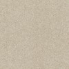 Aniseed