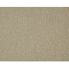 Cambrian Stone