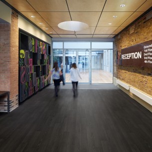 Polyflor Wood FX Polyflor Wood FX